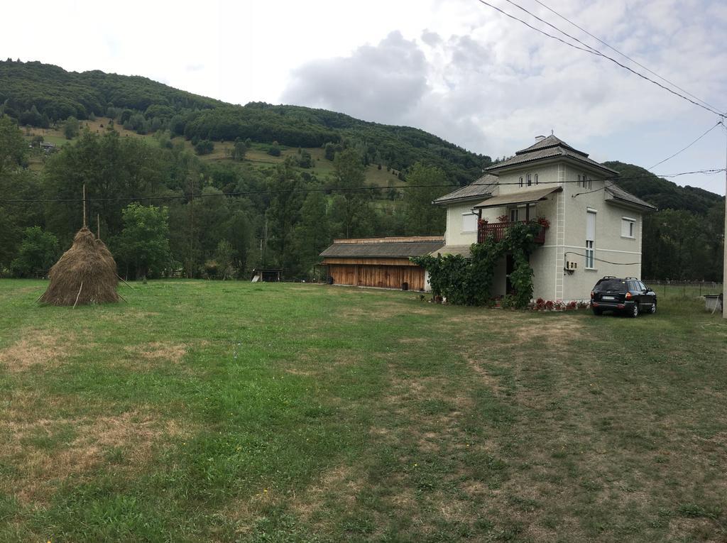 Villa Casa Danut Vidra  Exterior foto